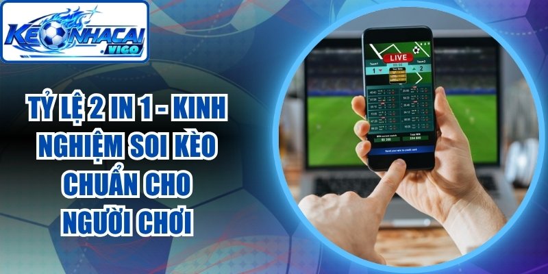 Tỷ Lệ 2 In 1